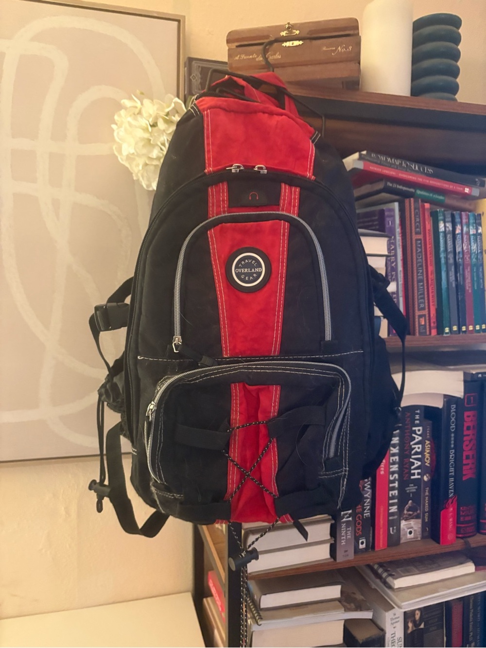 Black & Red Men's Backpack - Versatile Travel Bag